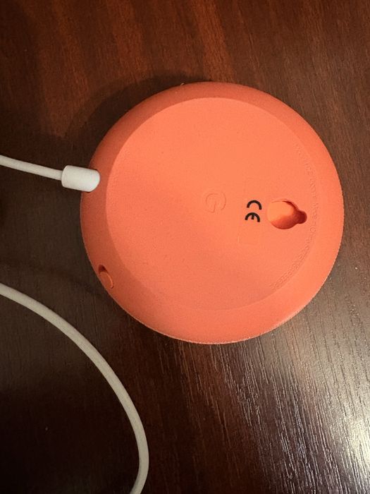 Google Nest Mini
