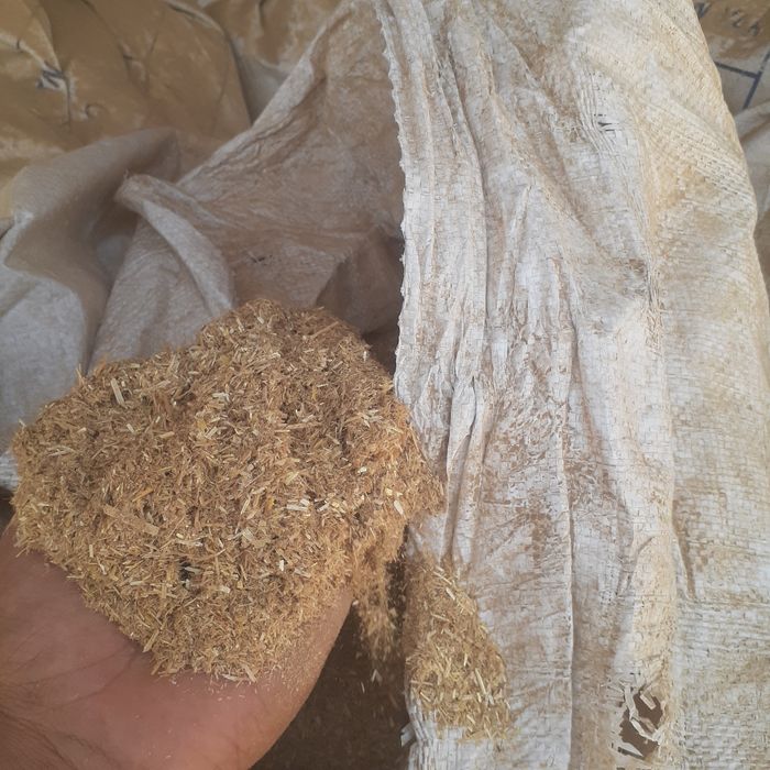 3 xil samon bor qamishni ham 3 xilli bor