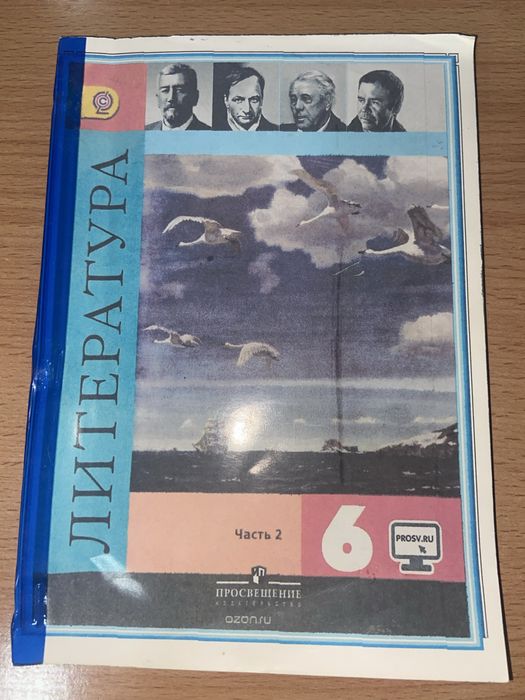 Учебники по литературе , 6-8 классы на русском языке