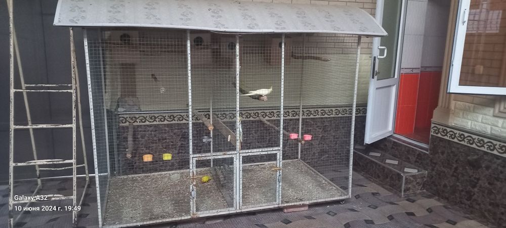 вальер с птитцами 2 пари карелла