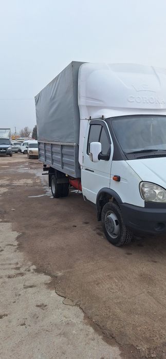 Gazel bartavoy Sotiladi srochna