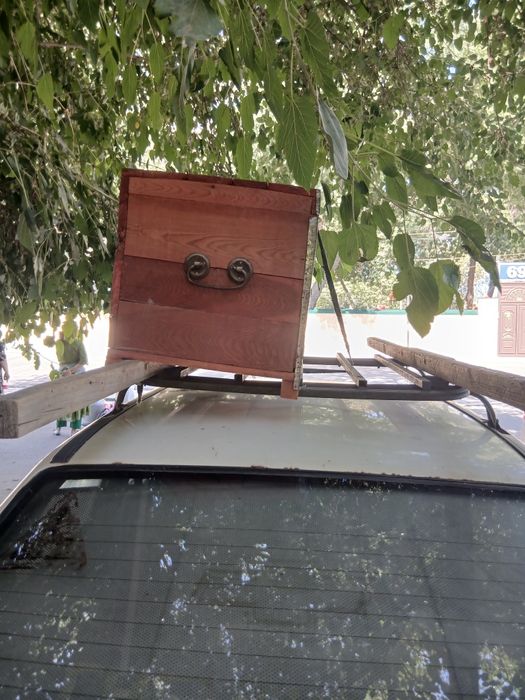 Сандук мехча ...