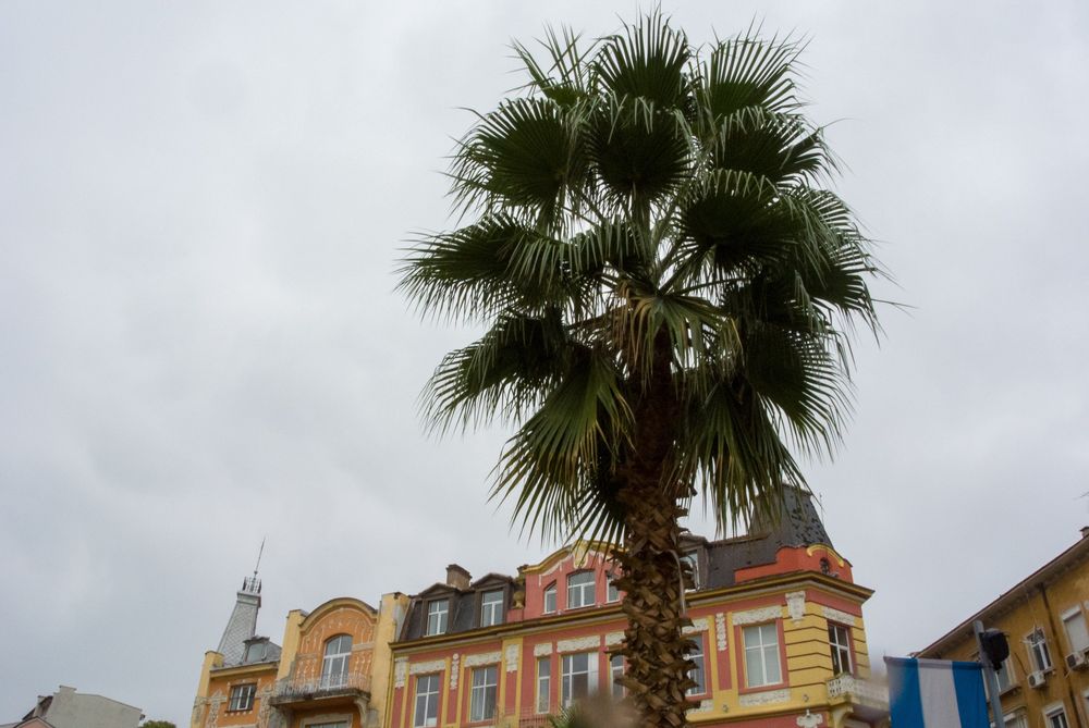 Nikon  1 J2 с Nikon 11-27.5mm  обектив