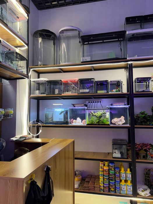 Akvarum va baliq magazin