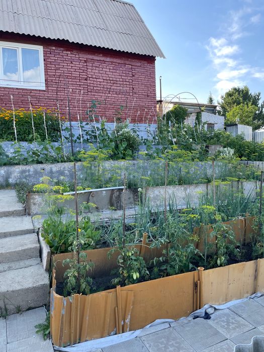 Дача. Летний дом