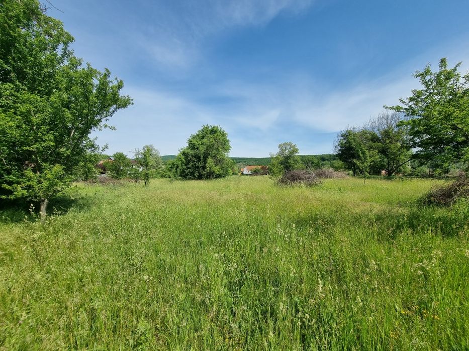 Vanzare/Schimb/ Casa + teren 5.000 mp Tisau, Judetul Buzau