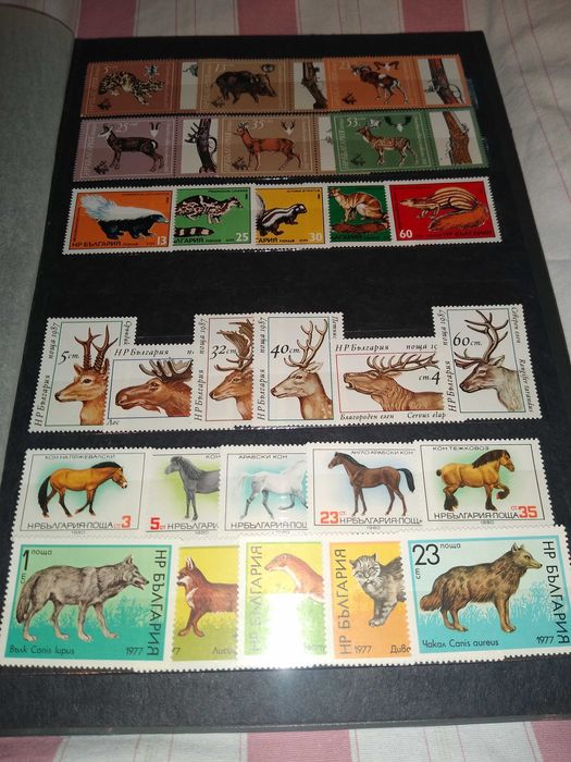 Албум пощенски марки и банкноти