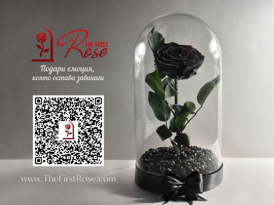 Естествена ЧЕРНА Вечна Роза в Стъкленица / Подарък за Свети Валентин