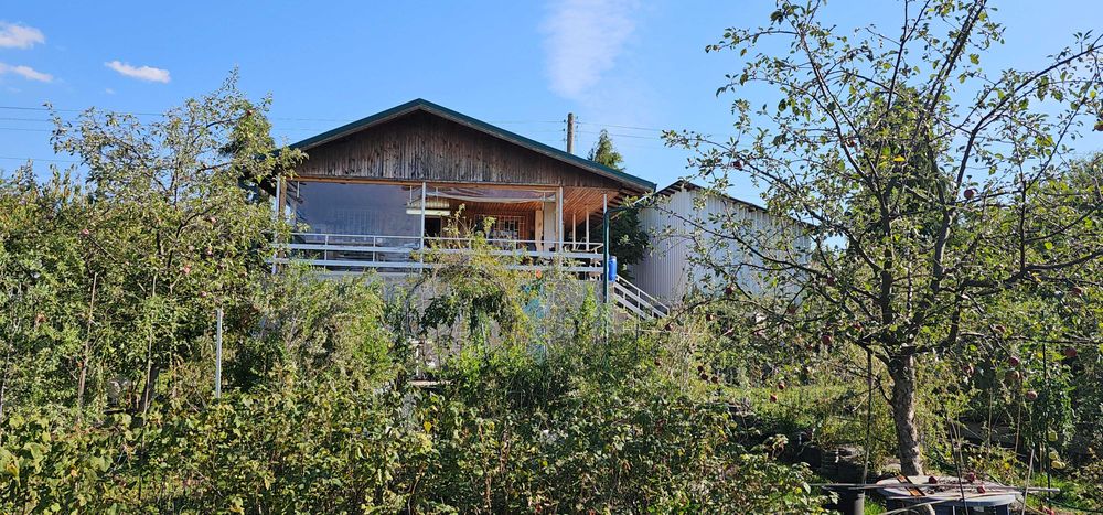 Продава се Къща в с. Бабица, Област Перник - 70 кв.м за 786 €/кв.м - Снимка #1