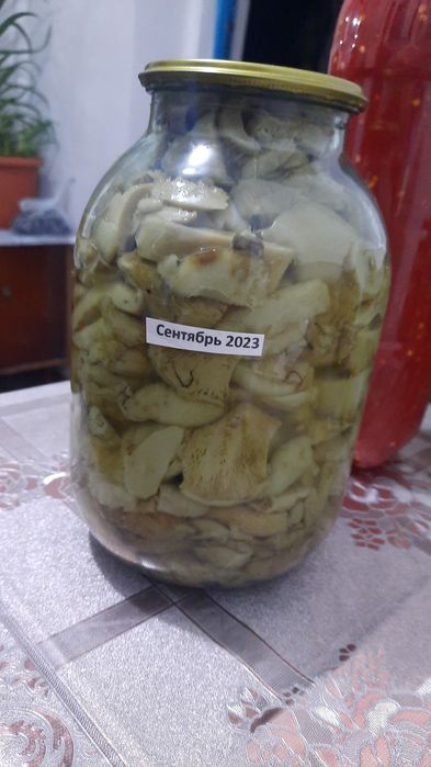 Домашние засолки