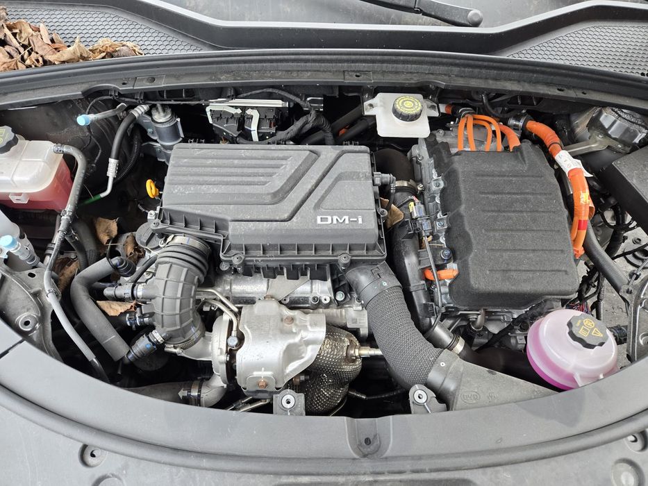 Stopuri byd sealu an 2025