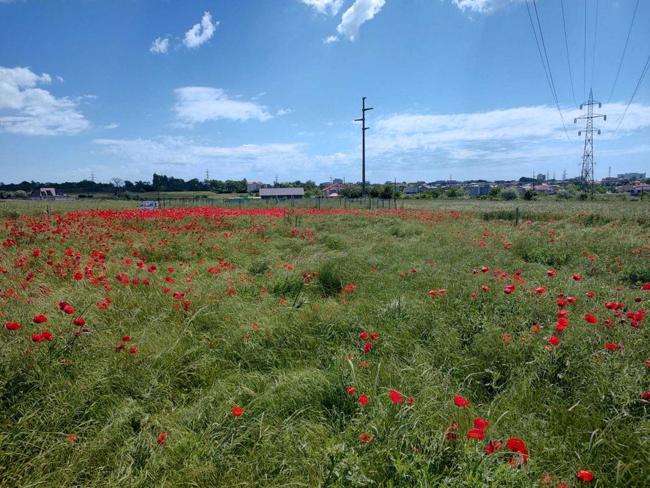 Teren extravilan 1000 mp Agigea (periferie Eforie Nord)
