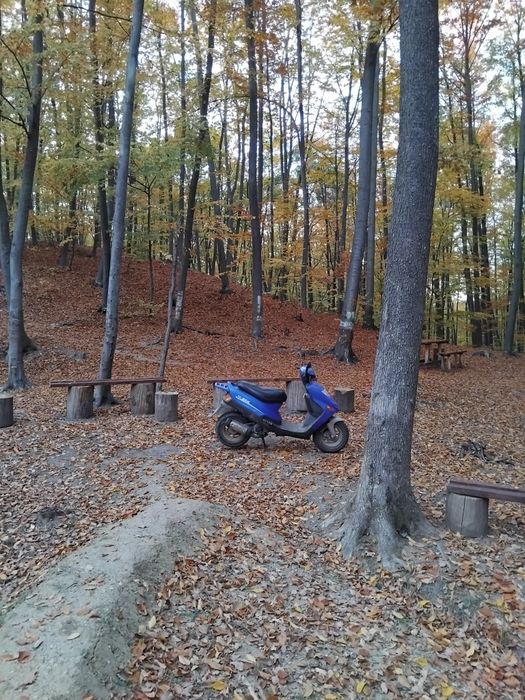 Vând scuter rex 50