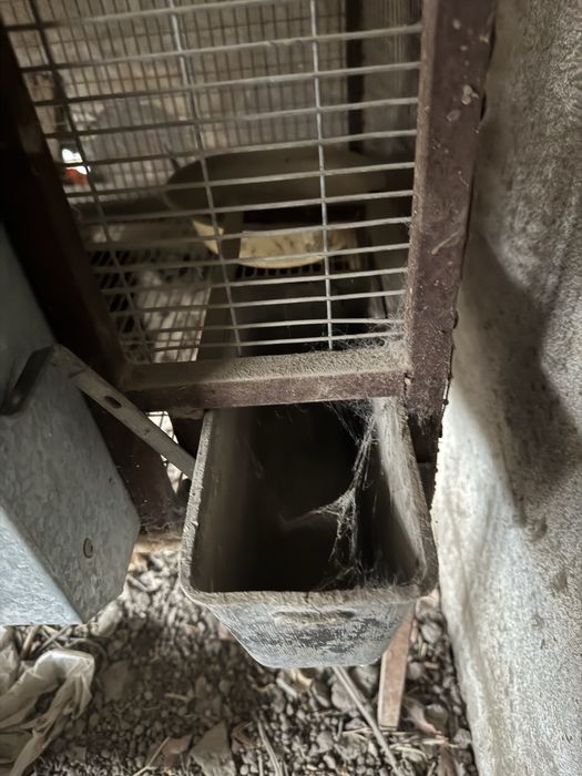 Продам клетки для кроликов