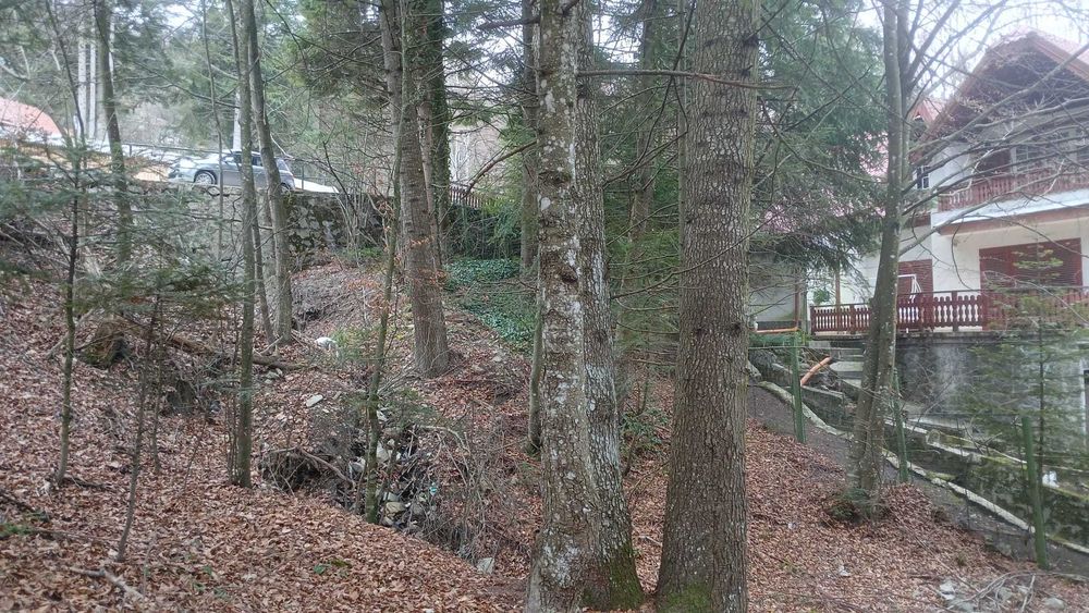 Sinaia central, teren intravilan