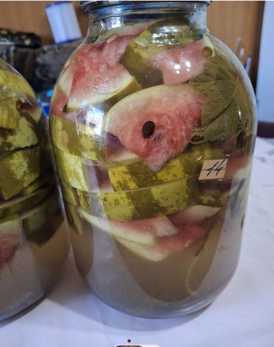 Домашняя засолка 2025г