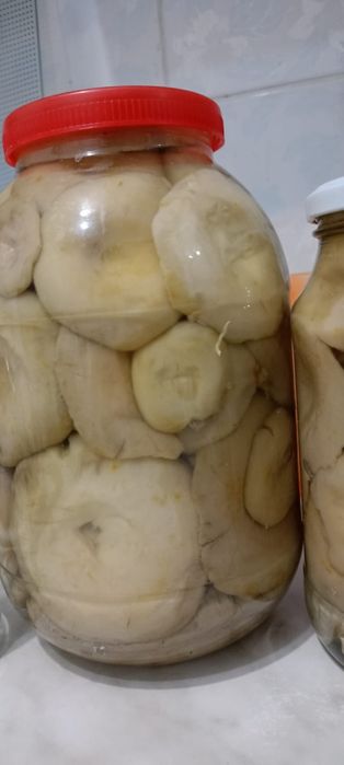 Продам грибы грузди.