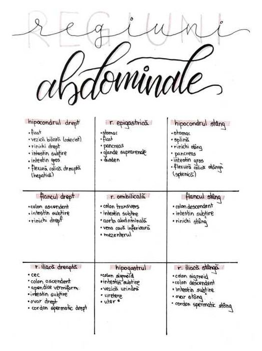 Schițe, Scheme și Sinteze Barron's pentru admiterea la medicină