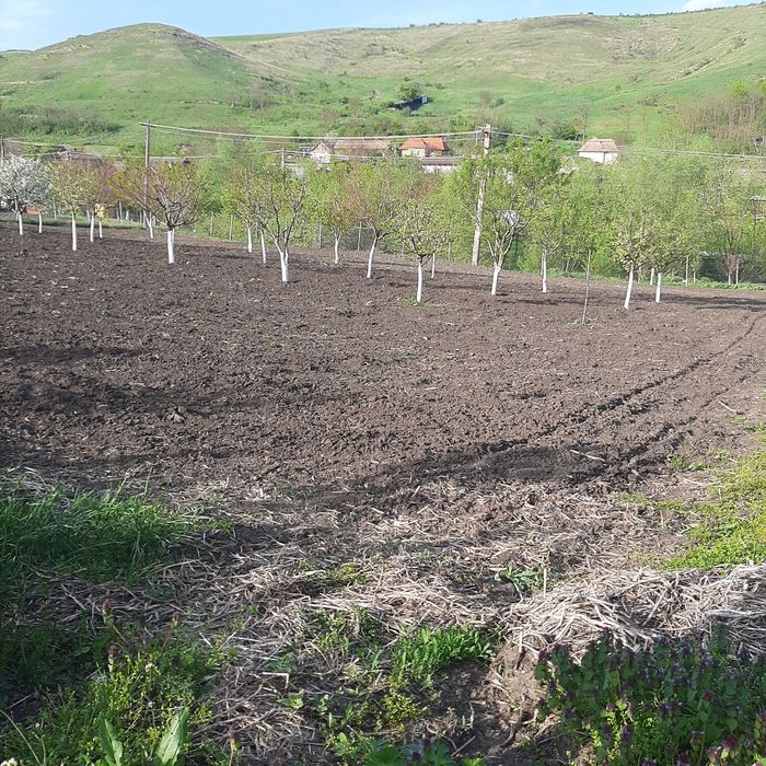 Teren intravilan de vânzare