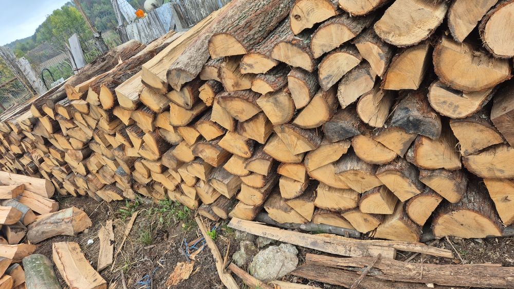 Vind lemne uscate sau verzi