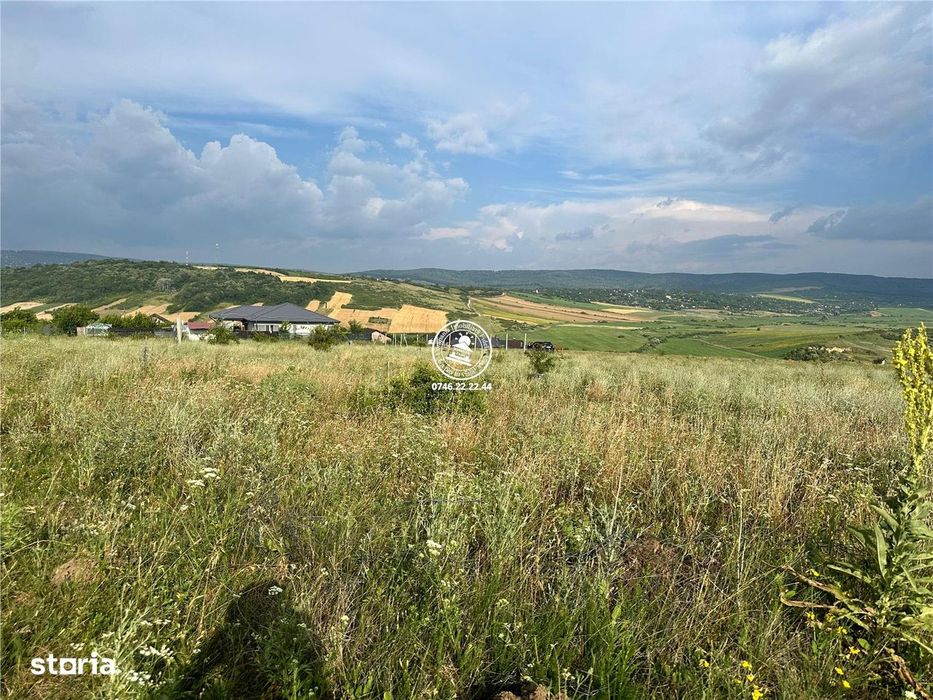 Teren de vanzare Dumbrava 633mp