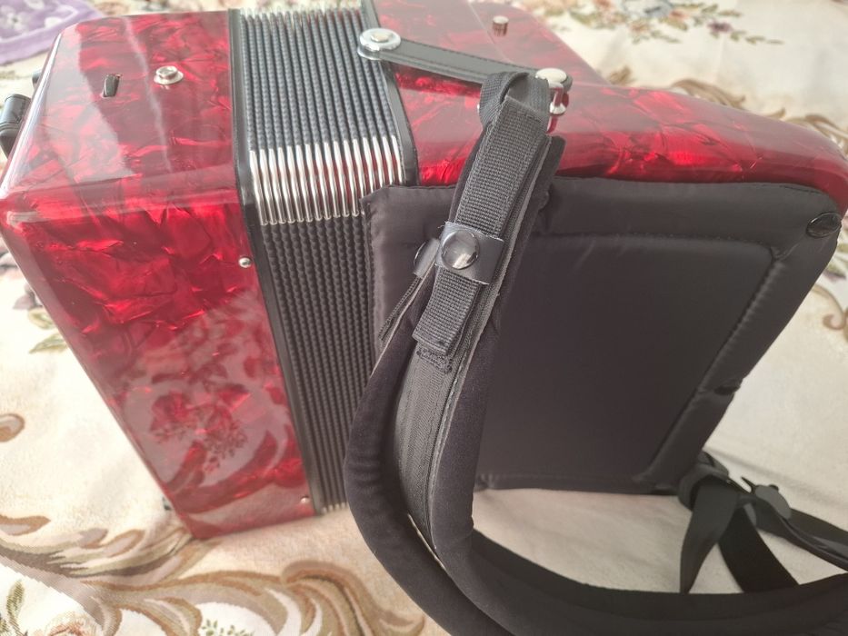 Баян инстурмент...