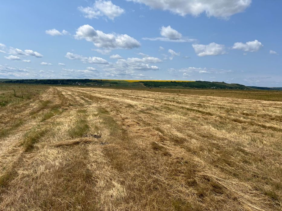 Vand/ Inchiriez TEREN INDUSTRIAL E58 – 29.300 mp – 41 m deschidere – lângă Iași