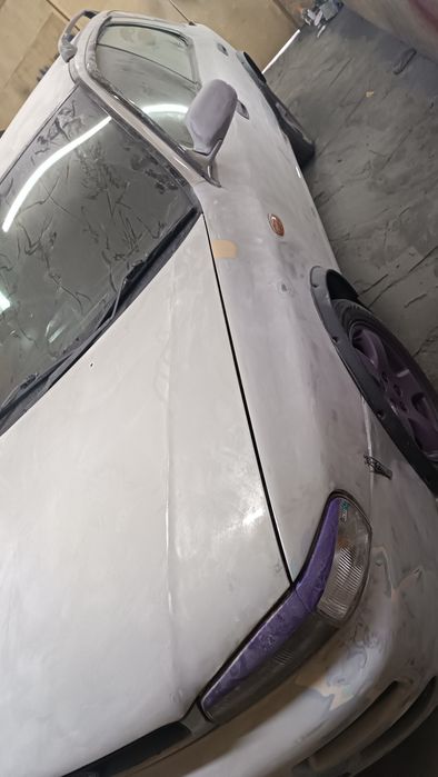 Покраска в Раптор