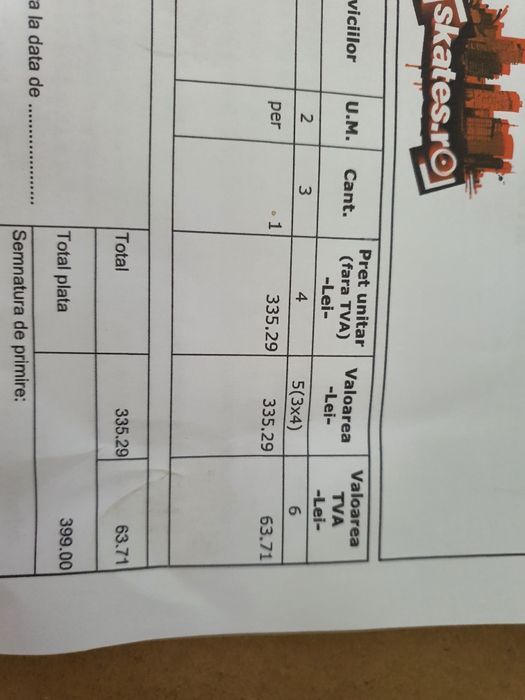 Role Rio Roller Mayhem