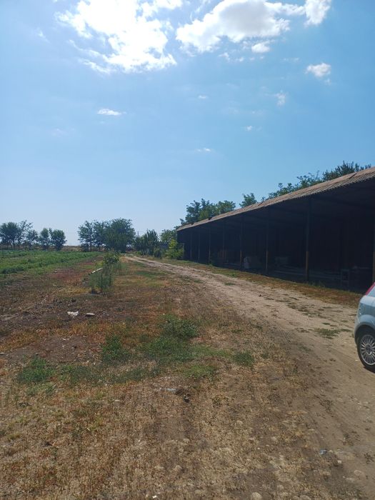 Casă cu teren în sat Albina