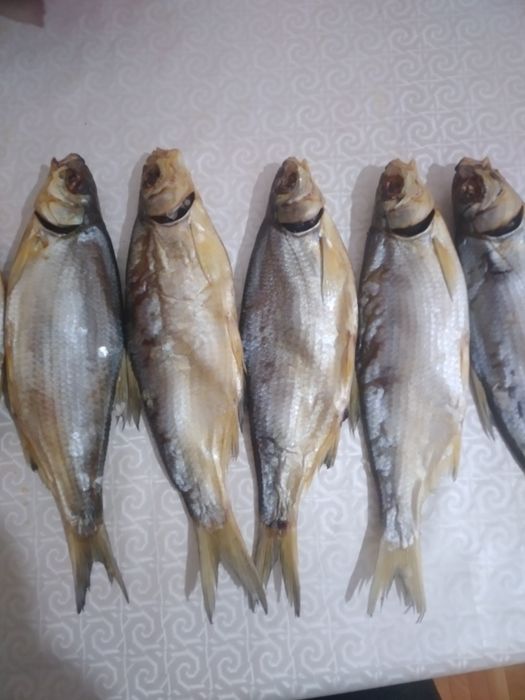 Продам рыбец вяленый.