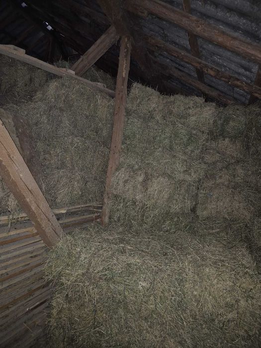 Vand baloti lucerna si fan