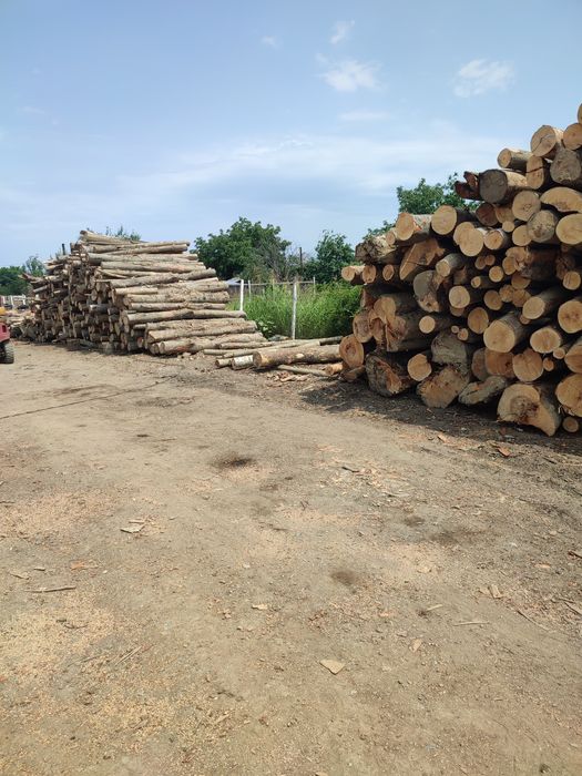 Depozit lemne de foc