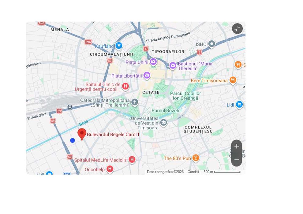 Spatiu comercial PREMIUM de vanzare – 202 mp – zona centrala – Timisoara