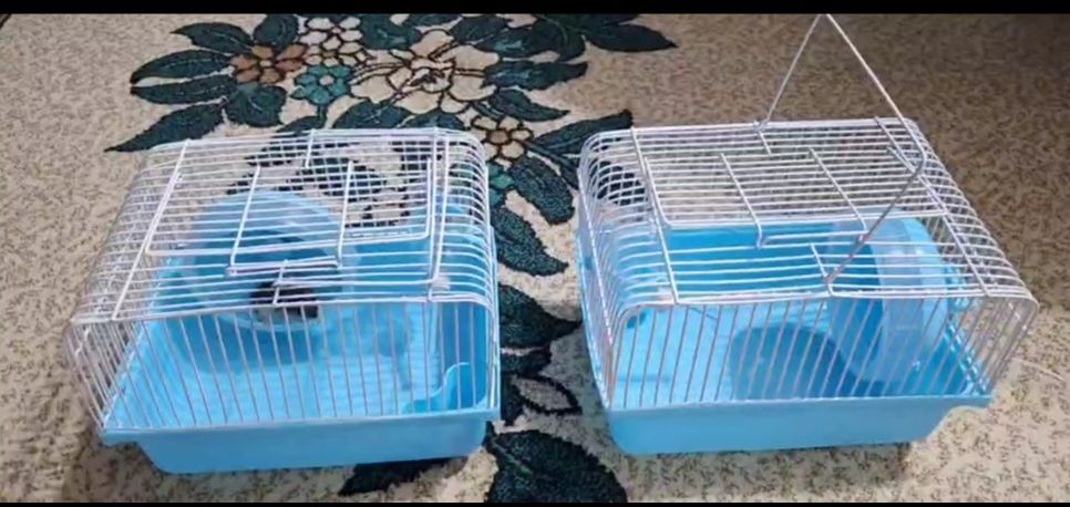 Продам клетку для хомяков вместе с джунгарским хомяком