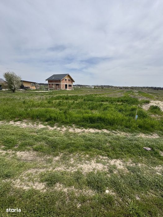 Loturi teren 400 mp Buftea - Darza