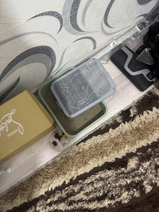 Пушистая кошка продаю