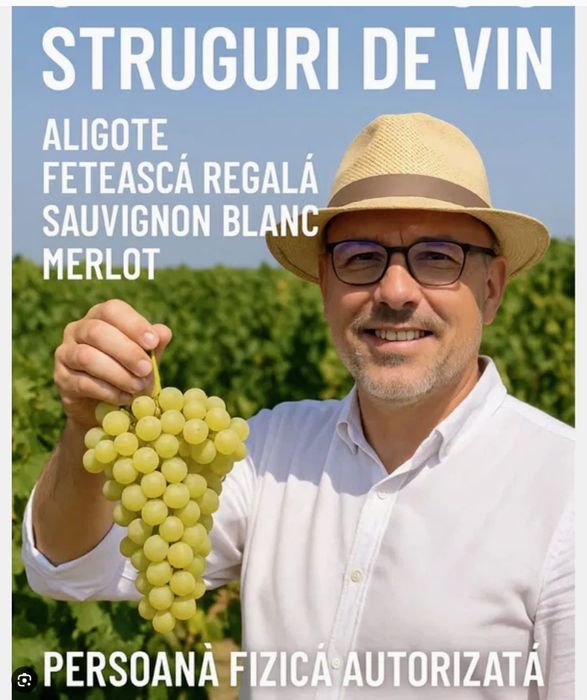 Vând structuri de vin