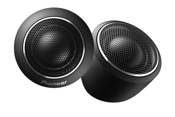 Pioneer Speaker TS-D1730C