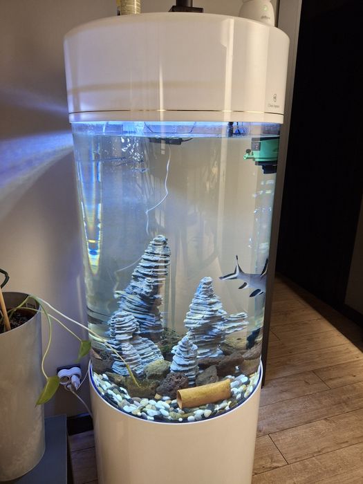 Огромный аквариум(500л)