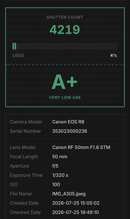 Canon EOS R8 + RF 50mm f/1.8 STM