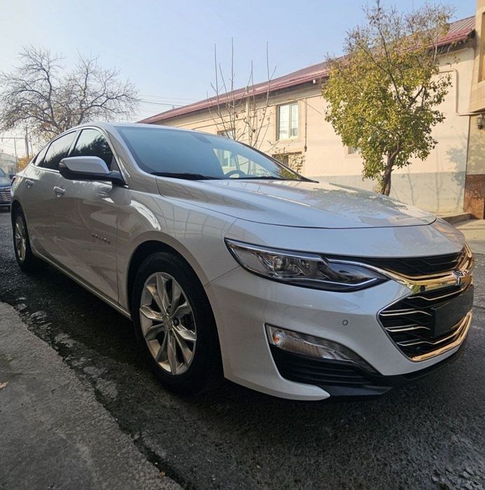 Malibu premier kraskasi tozza oq ( jemchuk emas)