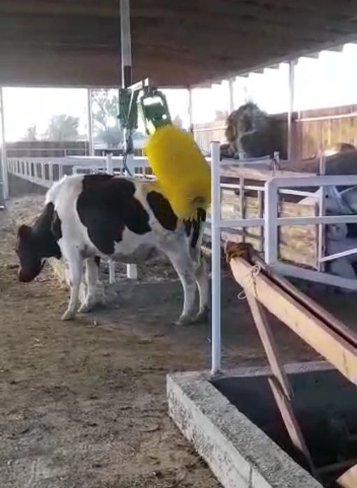 Щетка чесалка для Коров