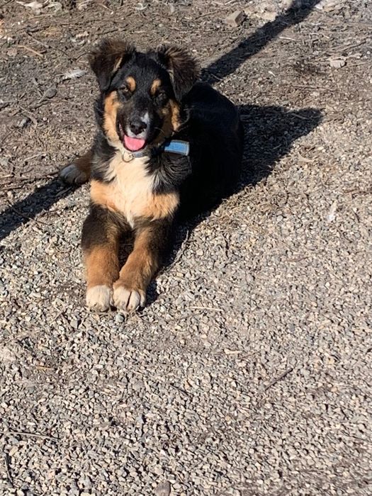 Мальчик 6 месяцев. Дети не звоните .  Будет крупным . Все ест .