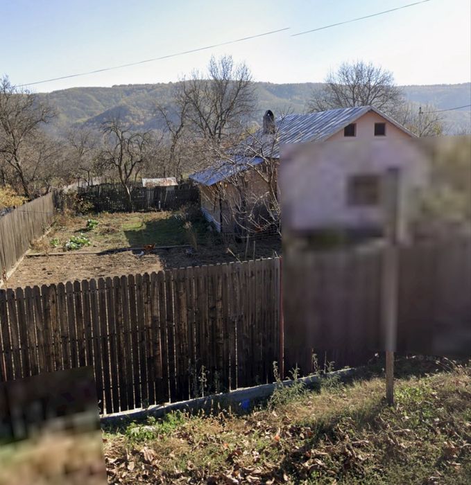 Vand casa Davidesti