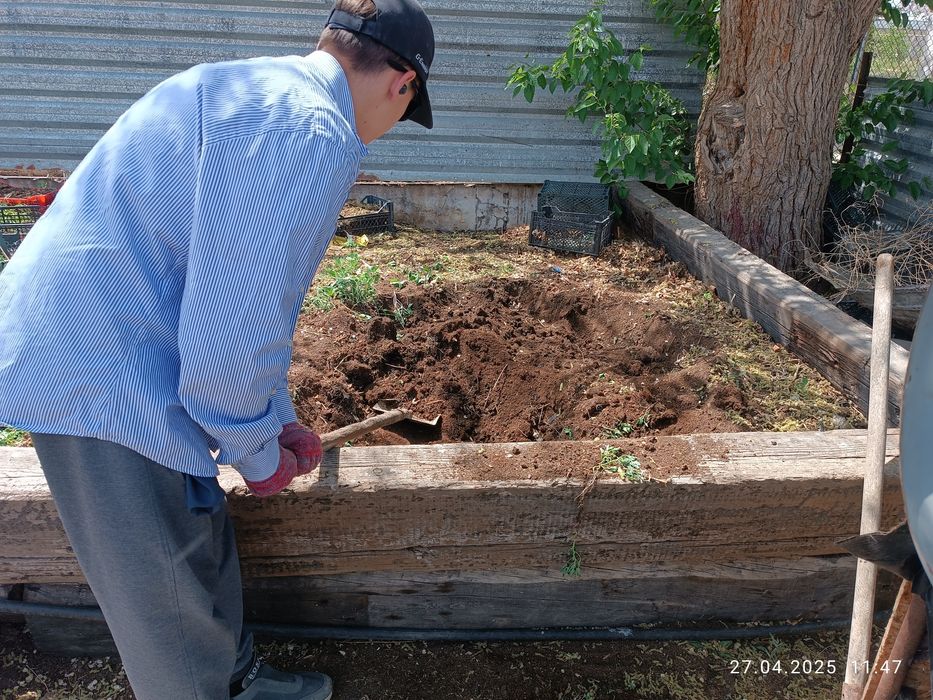 Биогумус  удобрение