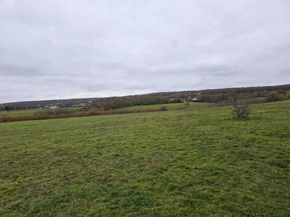 PARCELE INTRAVILAN M. Dragomirnei 11ari/.10ari/.9,2 ari zona MANASTIRE