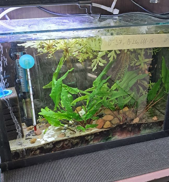 Продавам Аквариуми