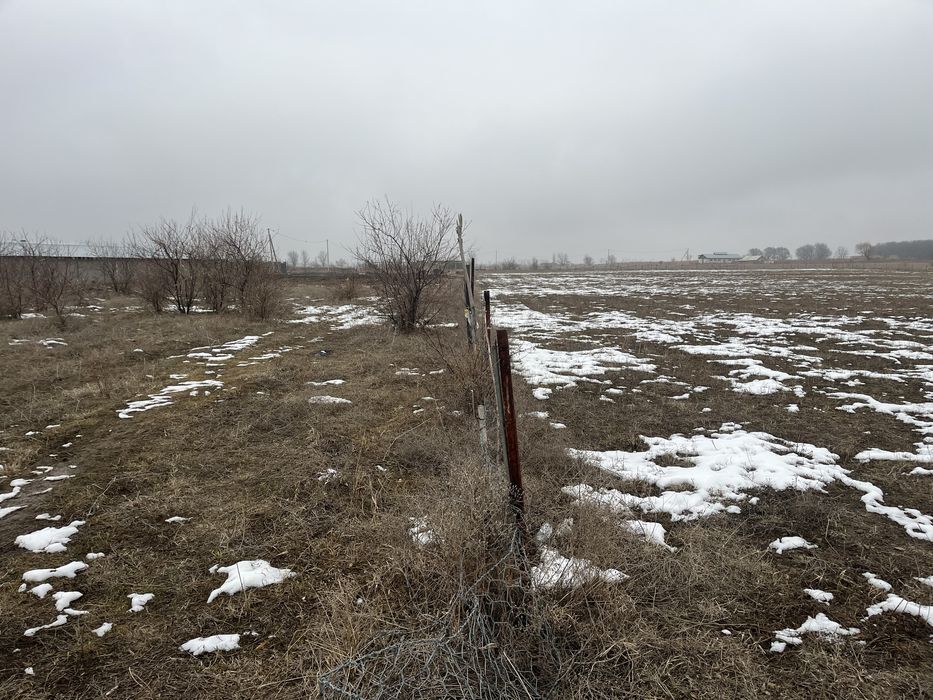 Участок 50 соток