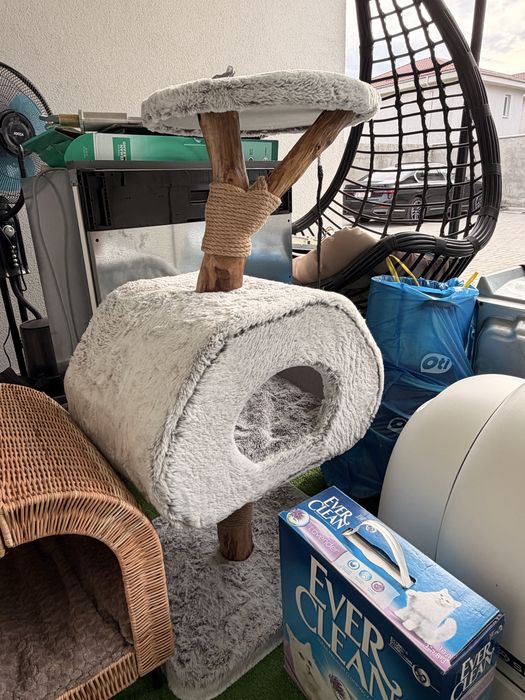 Sisal Pisici Mobexpert